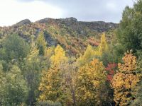 Herbstliche Farbenpracht