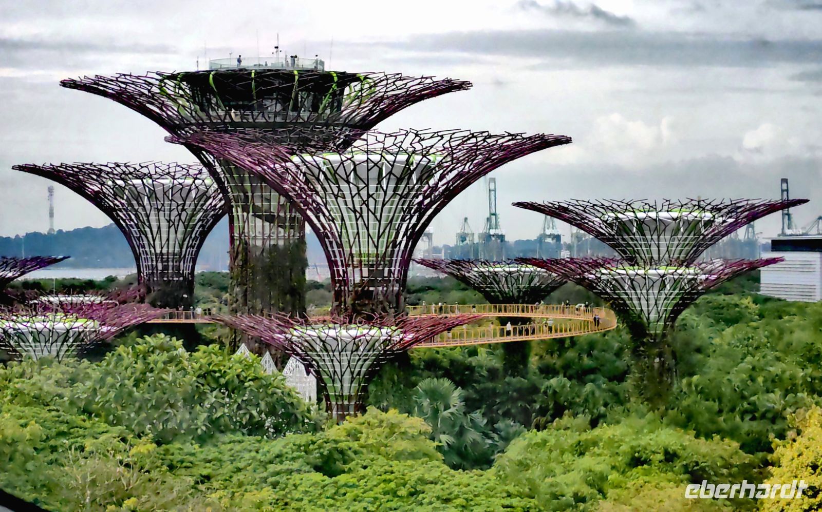 Die stählernen Supertrees in den Gardens by the Bay in Singapur