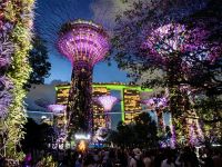 Zu Walzermeldodien werden die Supertrees heute Abend beleuchtet, Singapur