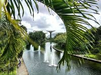 Grünes Singapur an den Supertrees