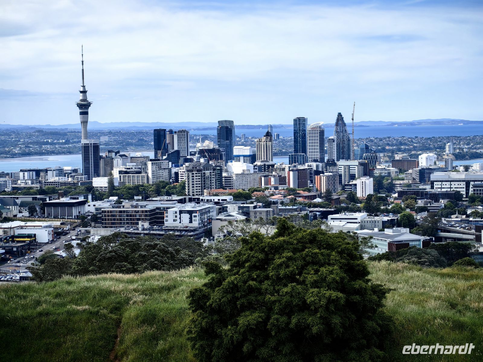 Blick auf Auckland
