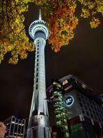 Skytower von Auckland am Morgen
