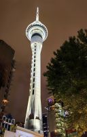 Skytower von Auckland am Morgen