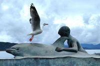 Denkmal mit dem Delfin in Opononi