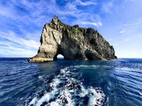 Hole in the Rock, Bay of Islands