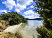 Mittagspause auf dem Weg zum Cape Reinga