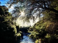 Erste Wanderung durch das Geothermalgebiet Wai-O-Tapu