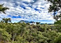 Blick über Wai-O-Taupo
