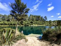 Das Angeln nach Forellen ist am Waikato River populär