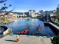 Im Hafen von Wellington rudert man mit Drachenbooten