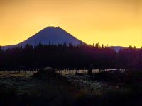 Mount Ngauruhoe im Morgengrauen
