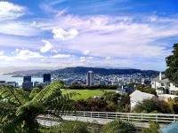 Blick auf Wellington von der Bergstation Cable Car