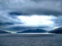 Heute haben wir im Queen Charlotte Sound kein Glück mit dem Wetter