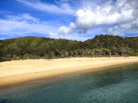 Bilderbuchstrand Abel Tasman Nationalpark