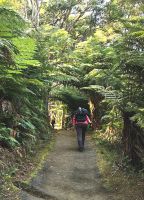 Wir machen eine Wanderung im Nationalpark