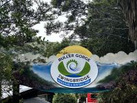 Hängebrücke über den Bullerfluß, das müssen wir ausprobieren