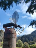 Riesige Sandfliege in der Bullerschlucht
