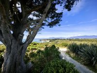 Wir wandern am Cape Foulwind