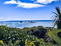 Tolle Ausblicke vom Wanderweg, Cape Foulwind