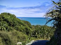 Blicke auf die Tasmanische See, Cape Foulwind Trail