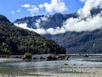 Wir suchen nach Jade und Steinen am Haast River