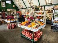 Vitaminbar auf dem Weg zum Lindis Paß