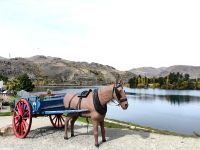 Alte Goldgräberstadt Cromwell