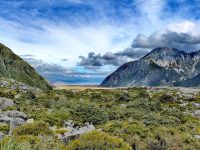 Blick auf den Lake Pukaki vom Mount Cook Nationalpark aus 