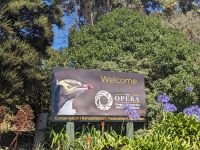 237. Dunedin