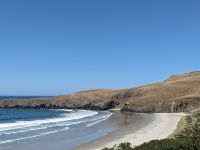 241. Dunedin