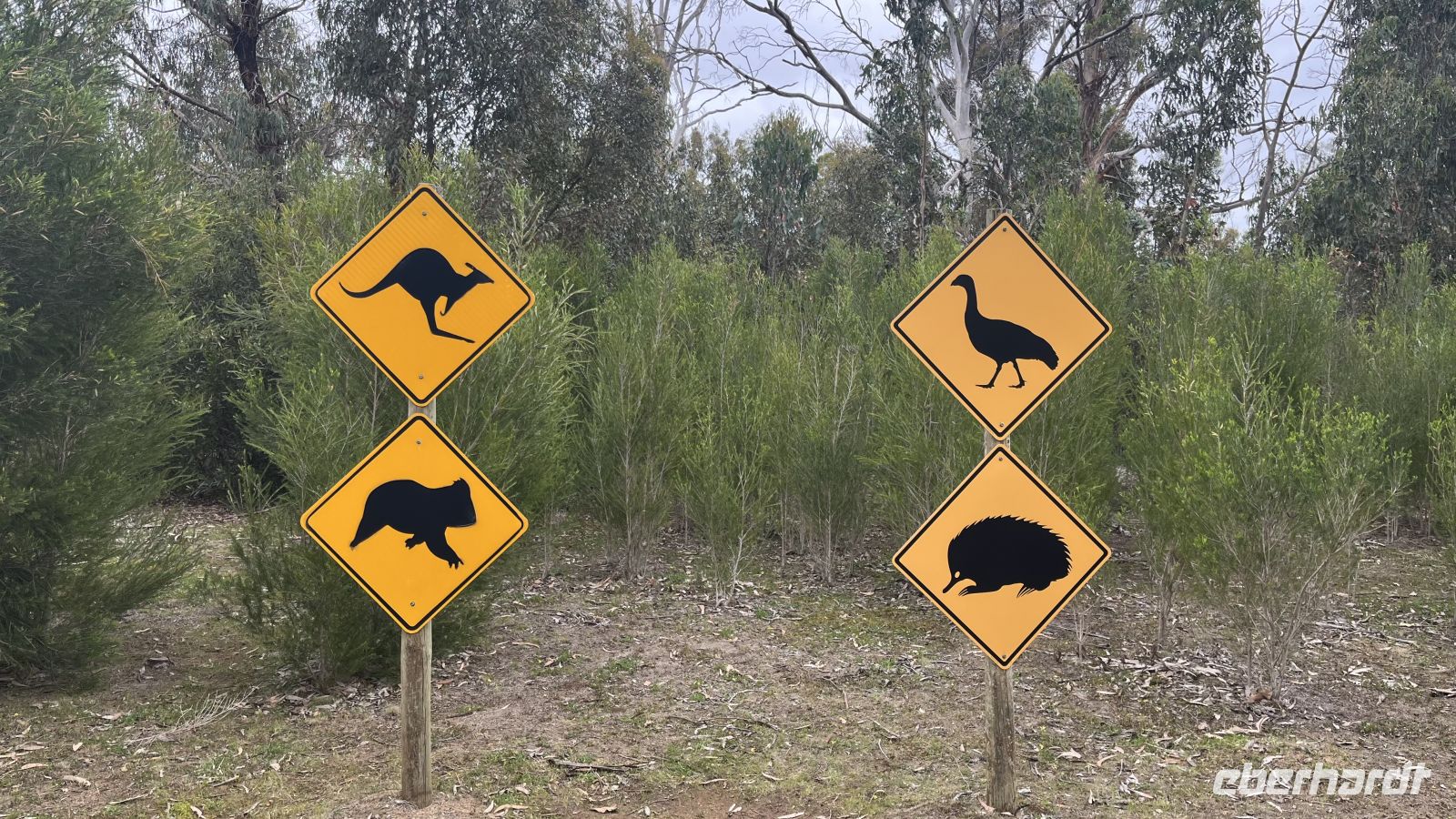 Tiere auf Kangaroo Island