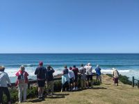 242. Dunedin