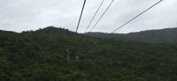 Kuranda rainforest (2)