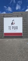 Te Puia (11)