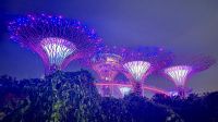 Gardens by the Bay, Singapur &ndash; &copy; Mareike Schmidt (Eberhardt TRAVEL)