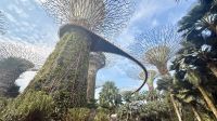 Gardens by the Bay, Singapur  &ndash; &copy; Mareike Schmidt (Eberhardt TRAVEL)