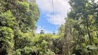 Seilbahnfahrt, Daintree Rainforest, Cairns  &ndash; &copy; Mareike Schmidt (Eberhardt TRAVEL)
