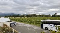 Framingham Weingut, Marlborough, NZ &ndash; &copy; Mareike Schmidt (Eberhardt TRAVEL)