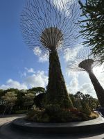 Gardens by the Bay  &ndash; &copy; Anne Fohlert (Eberhardt TRAVEL)