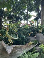 CloudForest  &ndash; &copy; Anne Fohlert (Eberhardt TRAVEL)