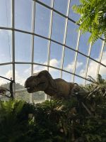 Cloudforest Singapur &ndash; &copy; Anne Fohlert (Eberhardt TRAVEL)