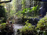 Cloudforest Singapur &ndash; &copy; Anne Fohlert (Eberhardt TRAVEL)