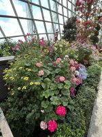 FlowerDome Singapur &ndash; &copy; Anne Fohlert (Eberhardt TRAVEL)