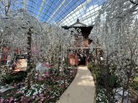 FlowerDome Singapur &ndash; &copy; Anne Fohlert (Eberhardt TRAVEL)