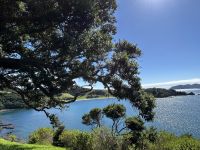 Othei Bay - Bay of Islands &ndash; &copy; Anne Fohlert (Eberhardt TRAVEL)