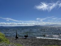Lake Taupo &ndash; &copy; Anne Fohlert (Eberhardt TRAVEL)