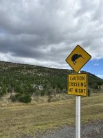 Kiwi Crossing &ndash; &copy; Anne Fohlert (Eberhardt TRAVEL)