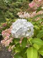 Wellington &ndash; &copy; Anne Fohlert (Eberhardt TRAVEL)