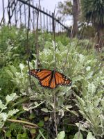 Wellington &ndash; &copy; Anne Fohlert (Eberhardt TRAVEL)