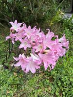 Wellington &ndash; &copy; Anne Fohlert (Eberhardt TRAVEL)